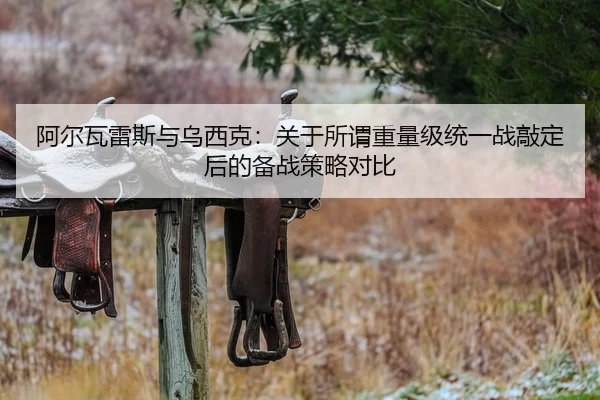 阿尔瓦雷斯与乌西克：关于所谓重量级统一战敲定后的备战策略对比