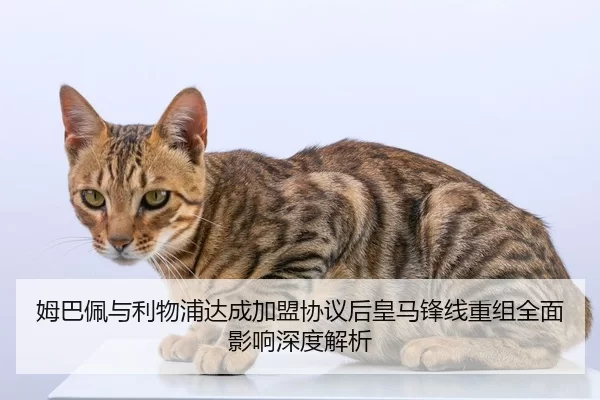 姆巴佩与利物浦达成加盟协议后皇马锋线重组全面影响深度解析